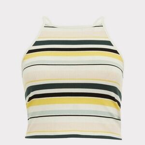 Torrid Multicolor Striped Crop Top